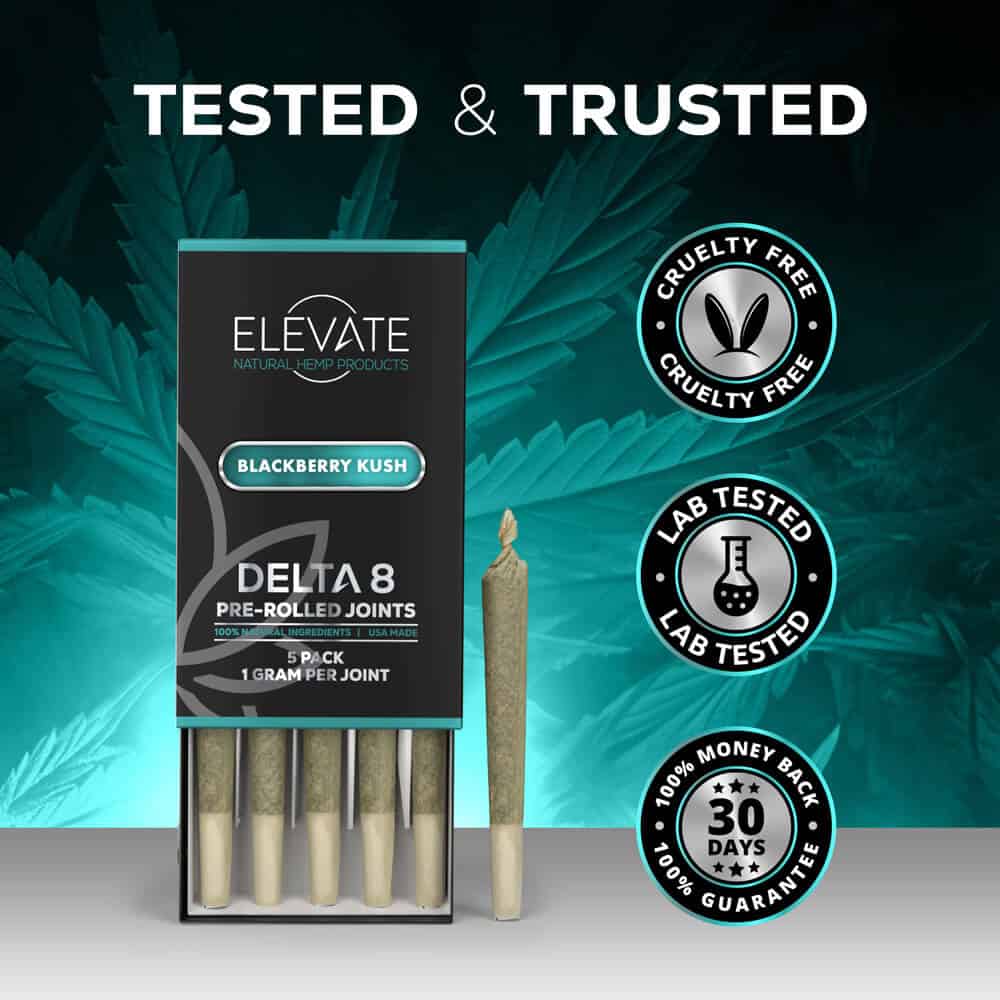 Delta 8 Cigarettes - Blackberry Kush - Image 2