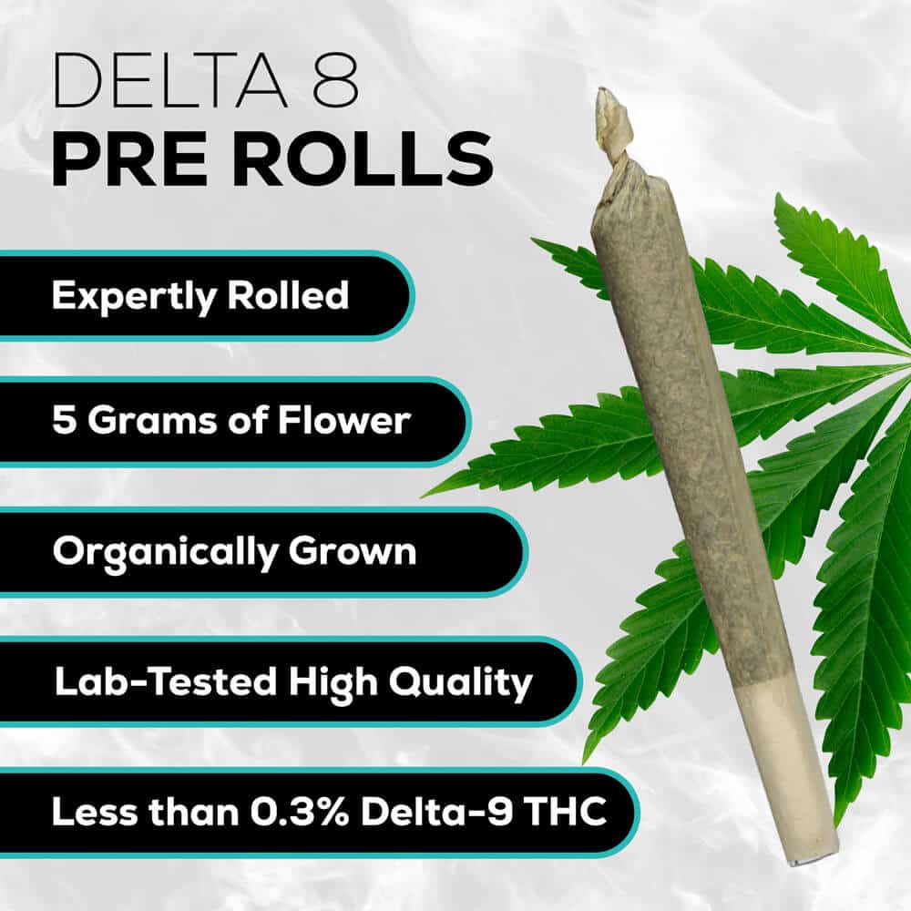 Delta 8 Cigarettes - Blackberry Kush - Image 3